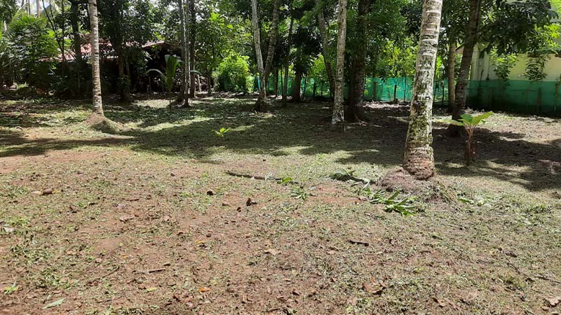 Real Estate Image